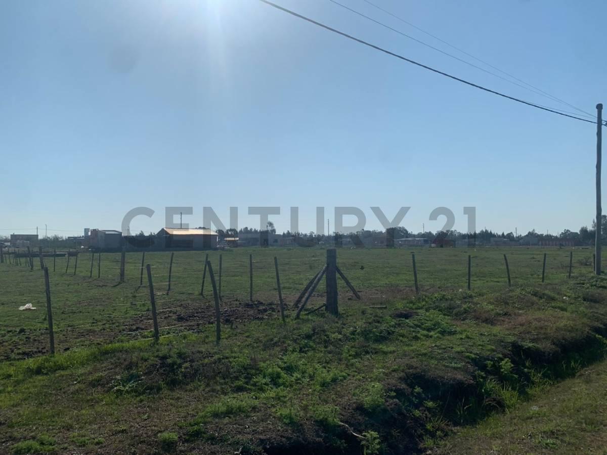 Terreno en venta en Los Talas