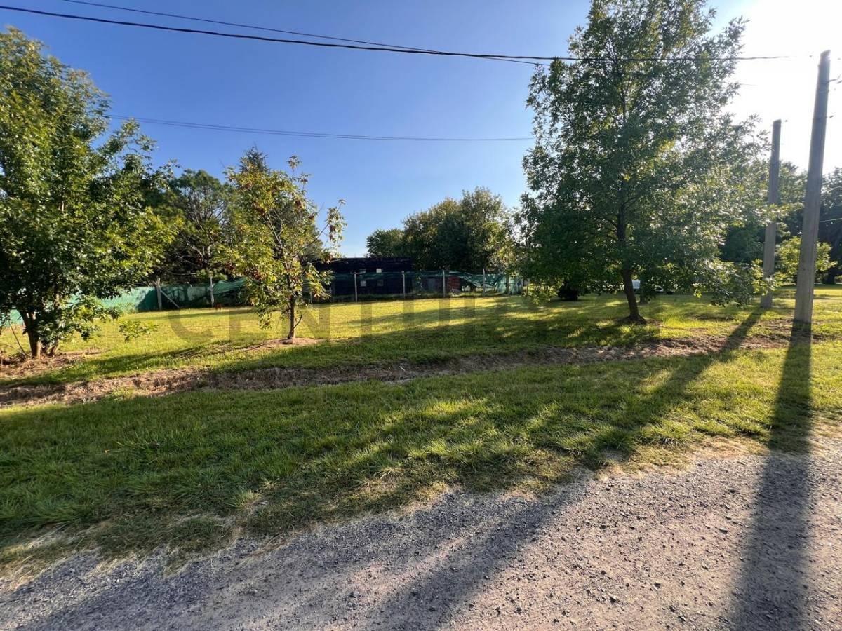 Terreno en Venta Villa Elisa 5