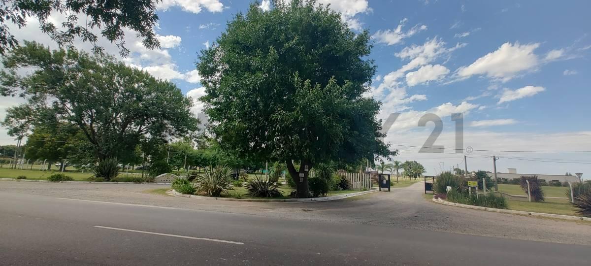VENTA LOTE FINCA LA SOÑADA RUTA 11
