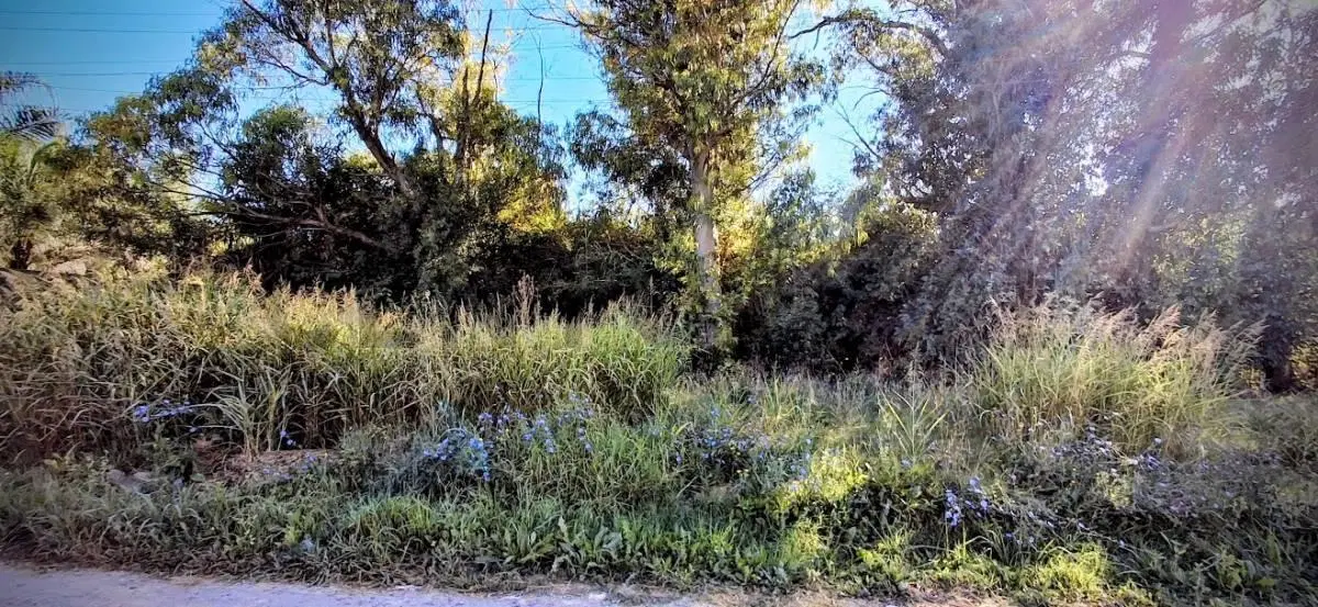 Venta de terreno en Sicardi 3