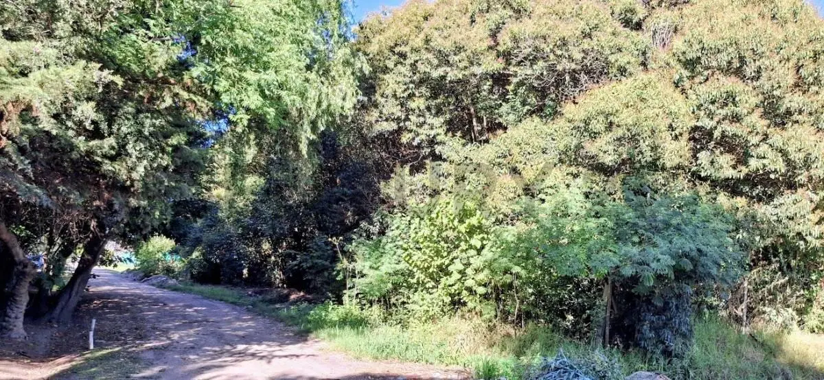 Venta de terreno en Sicardi 2