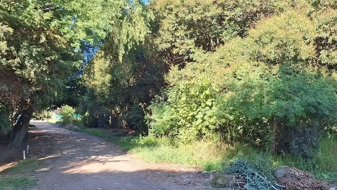 Venta de terreno en Sicardi 4
