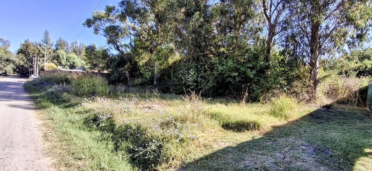 Venta de lote en Sicardi 300 mts2