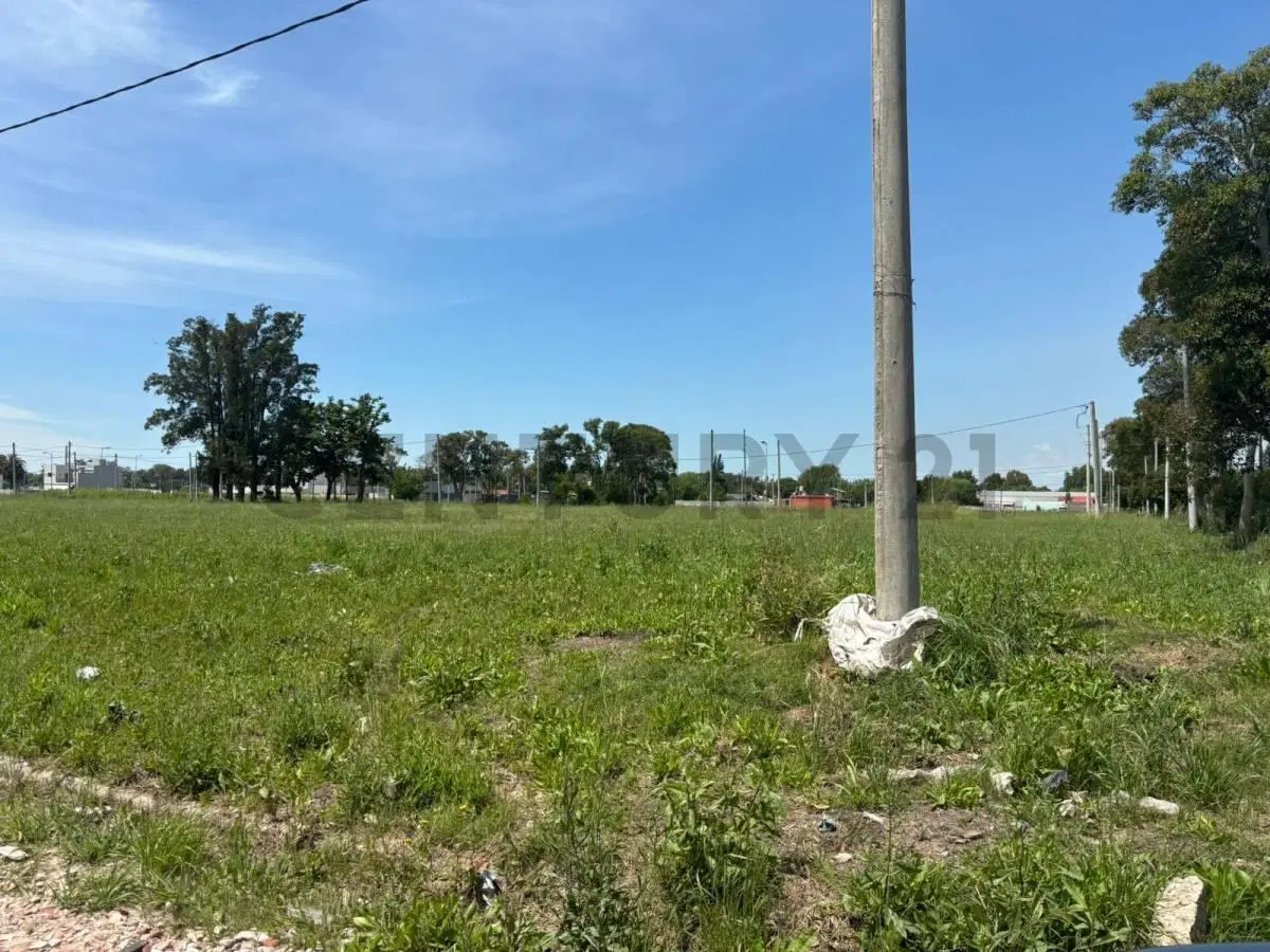 LOTE EN VENTA SICARDI BARRIO ABIERTO LAS CORTADERAS 5