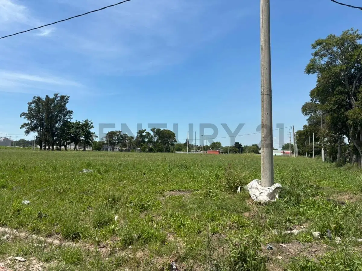 LOTE EN VENTA SICARDI BARRIO ABIERTO LAS CORTADERAS 2