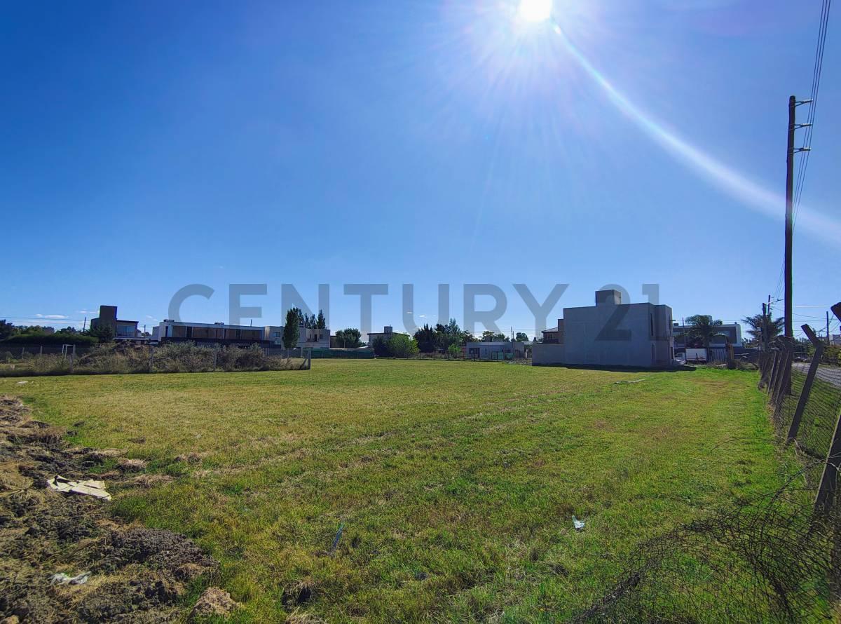 Foto de VENTA DE LOTE EN GONNET 4 Y 500, imagen 1
