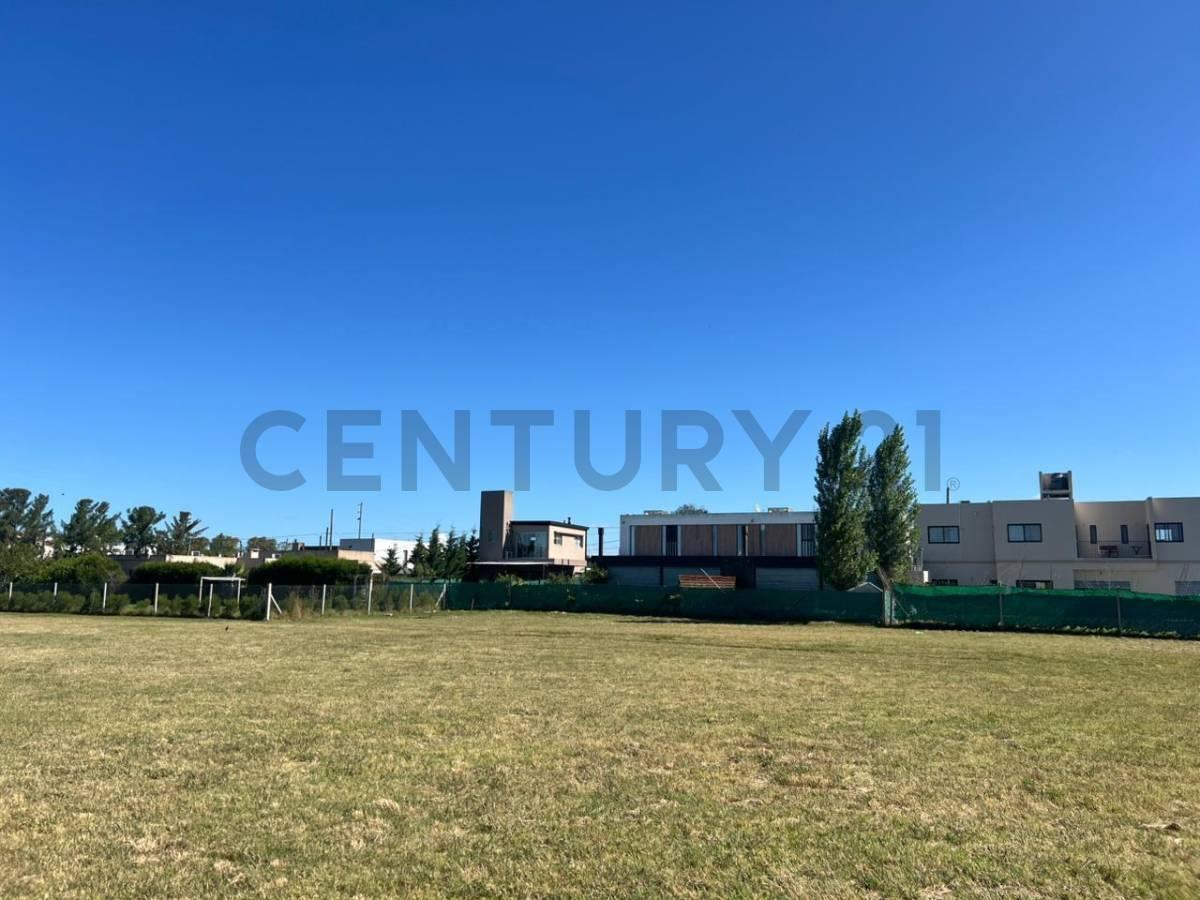 Foto de VENTA DE LOTE EN GONNET 4 Y 500, imagen 4