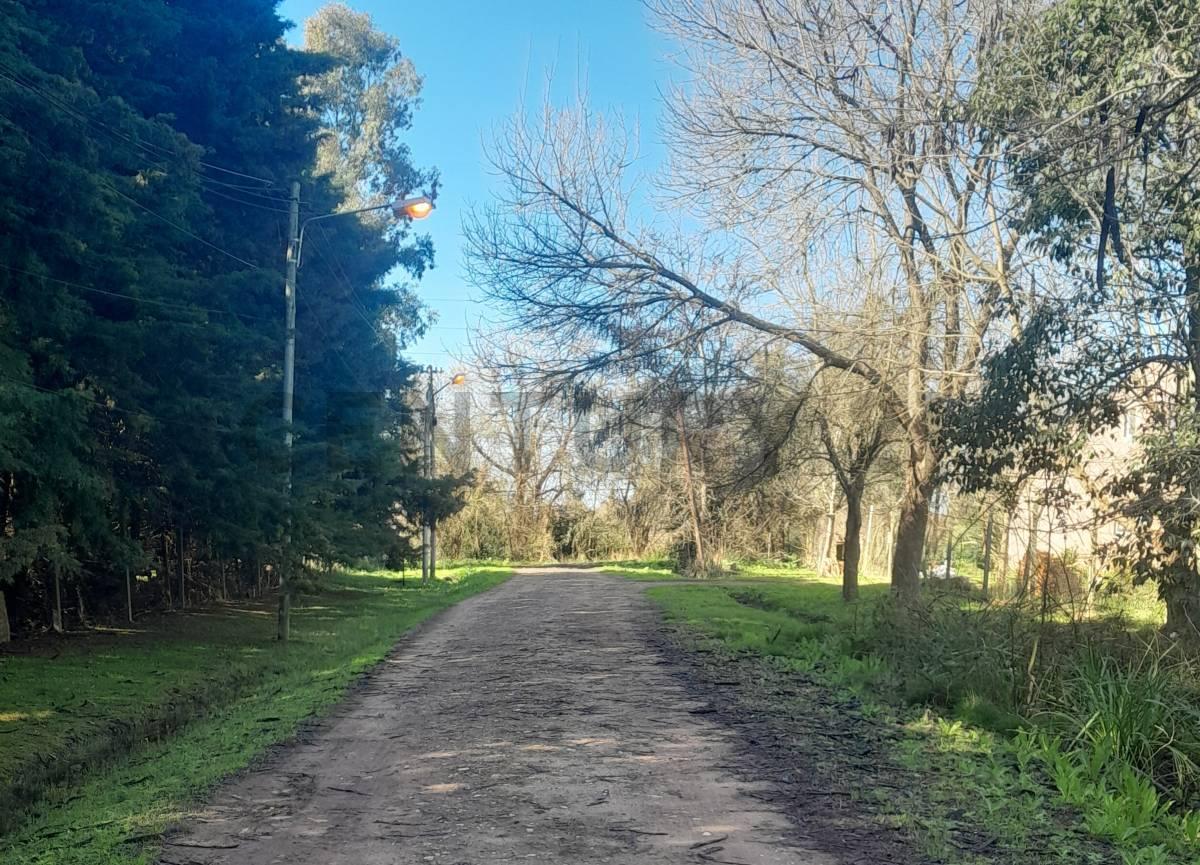 Foto de LOTE EN VENTA EN EL PATO, imagen 4