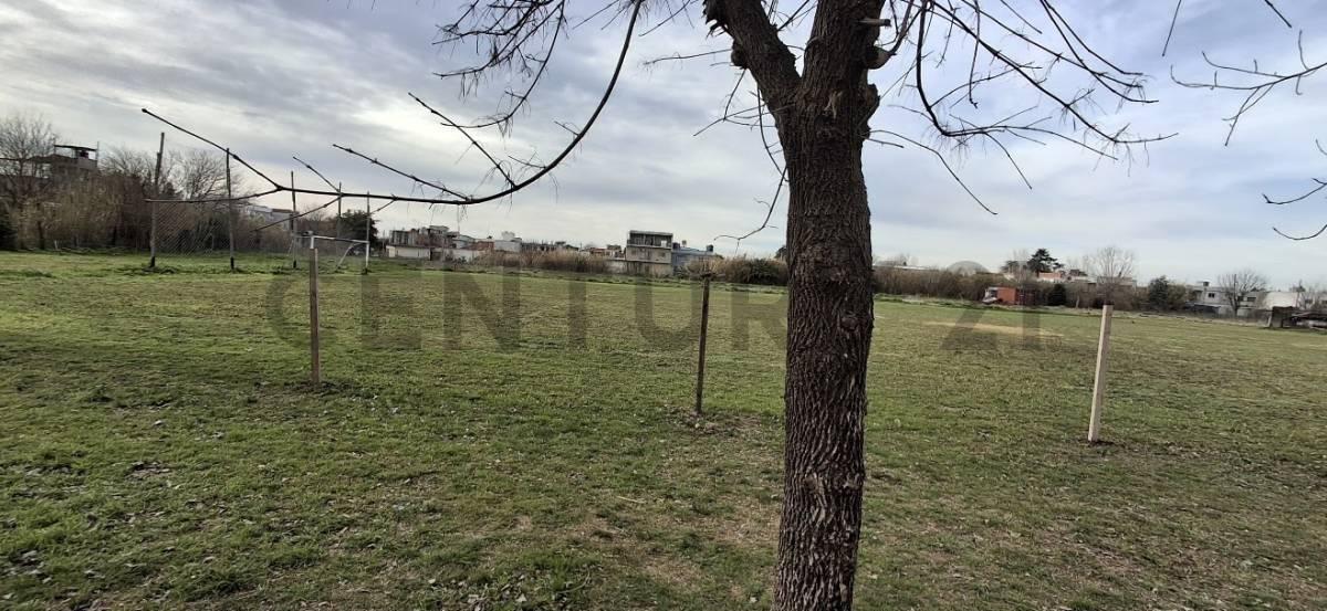 Foto de Venta de parcela La Plata, imagen 5