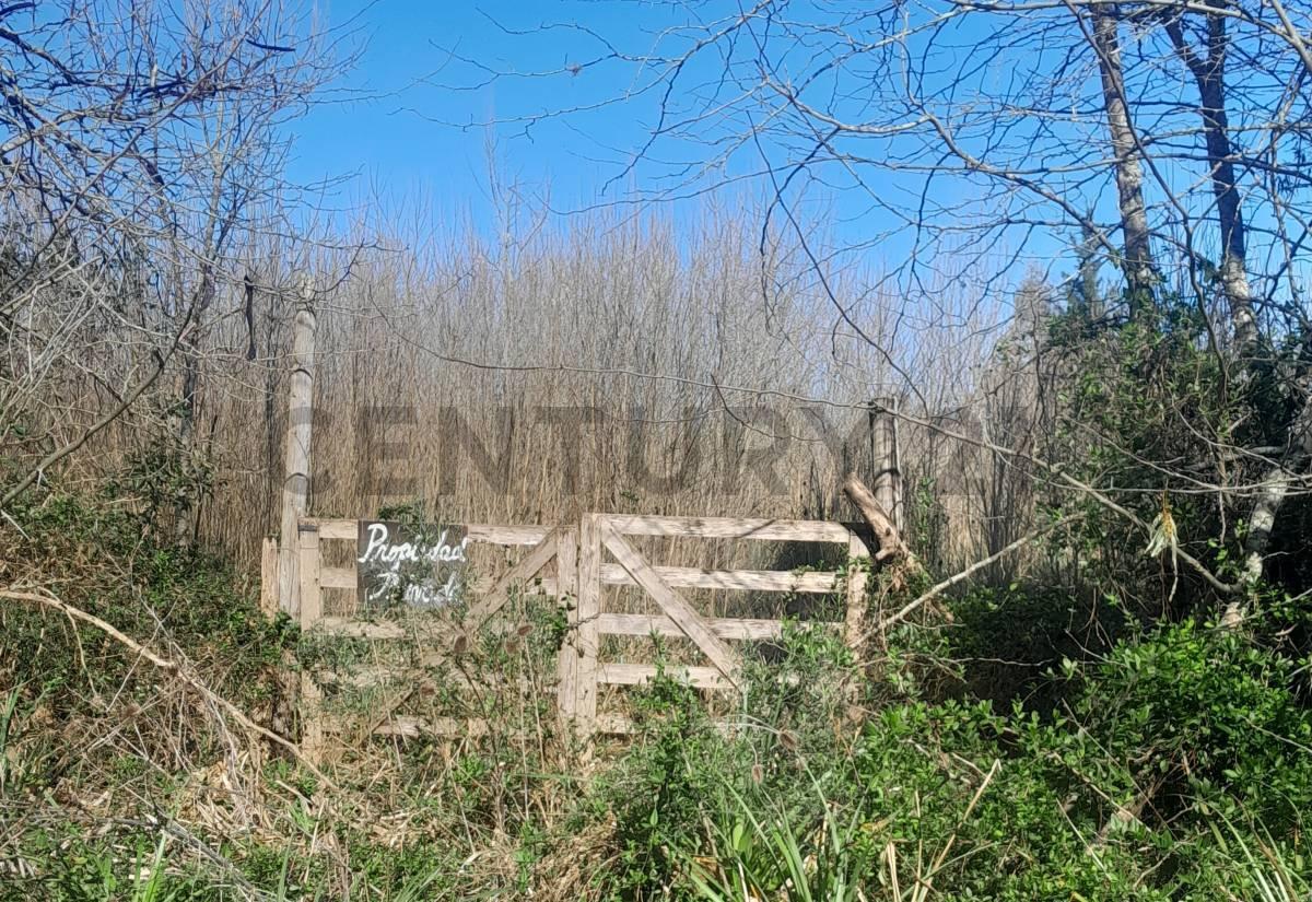 Foto de LOTE EN VENTA EN EL PATO, imagen 3