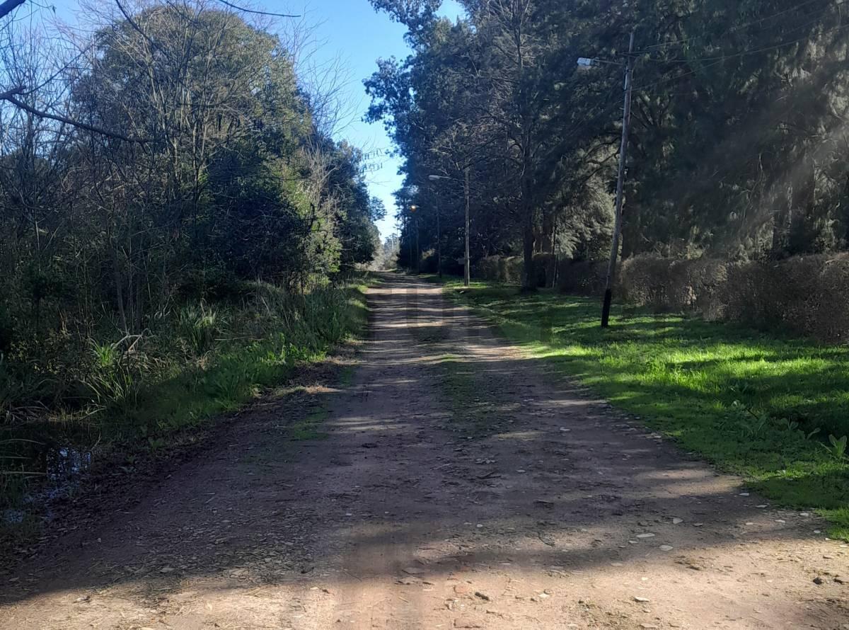 Foto de LOTE EN VENTA EN EL PATO, imagen 1