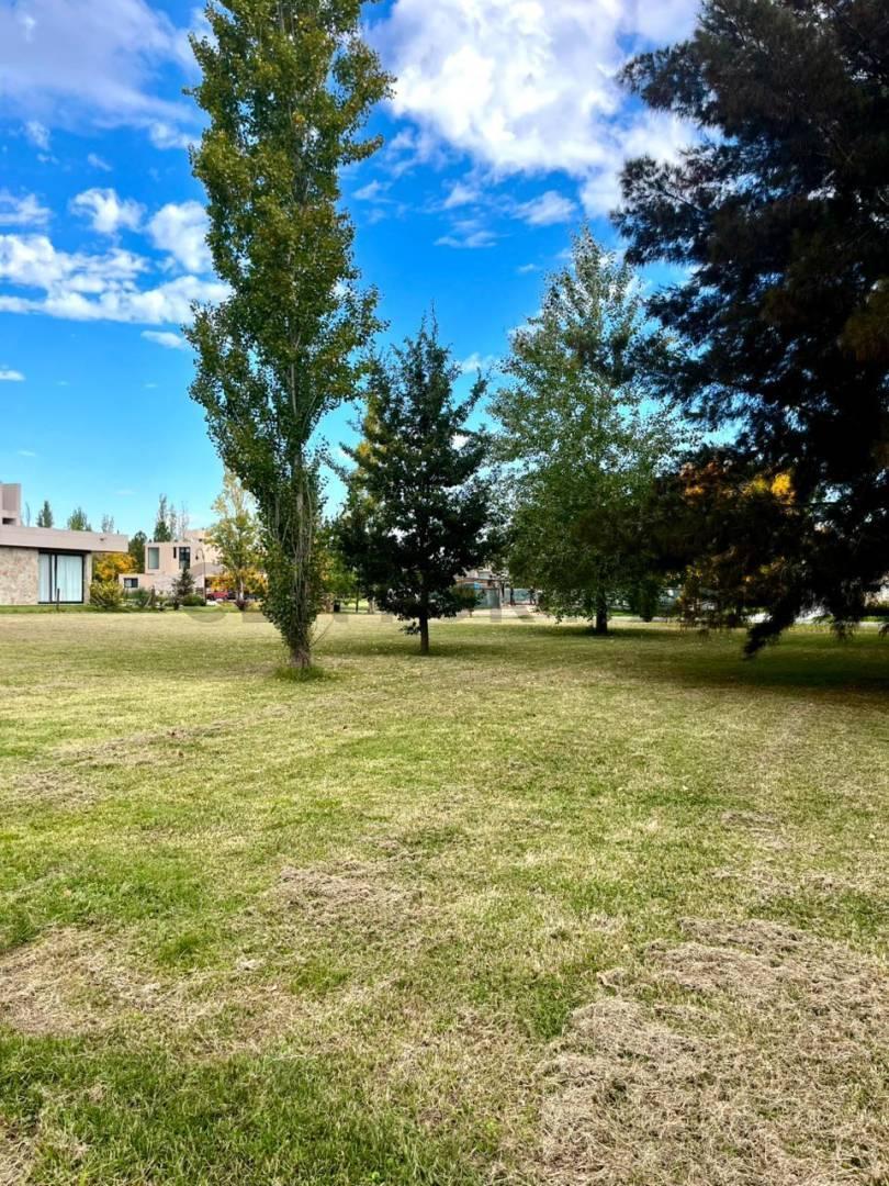 Foto de Lote en venta con fondo al lago en Miralagos I, imagen 4