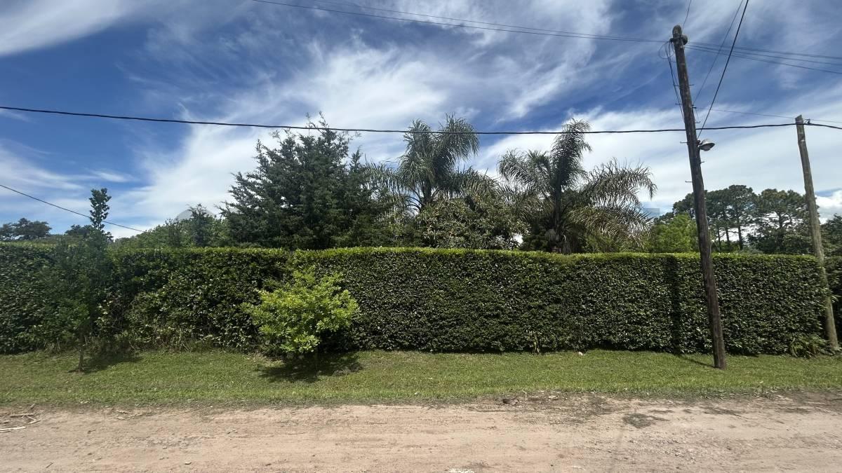Foto de LOTES EN VENTA VILLA ELISA ENTRE CAMINOS, imagen 4