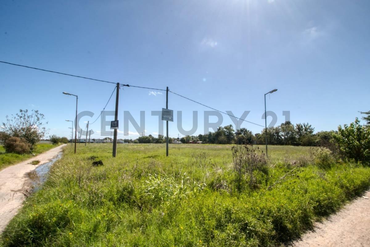 Foto de Terreno en Venta en Hernández, imagen 1