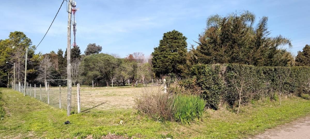 Foto de VENTA LOTES ENTRE CAMINOS EN VILLA ELISA, imagen 1