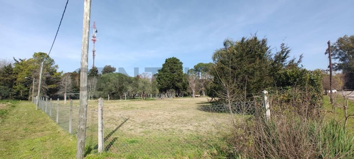 Foto de VENTA LOTES ENTRE CAMINOS EN VILLA ELISA, imagen 3