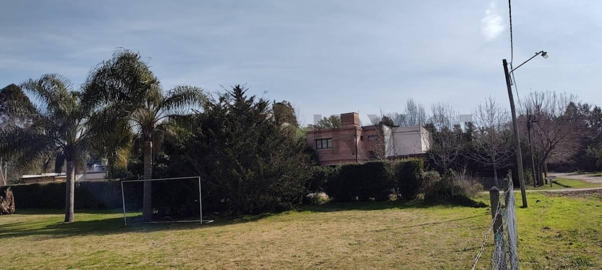 Foto de VENTA LOTES ENTRE CAMINOS EN VILLA ELISA, imagen 5