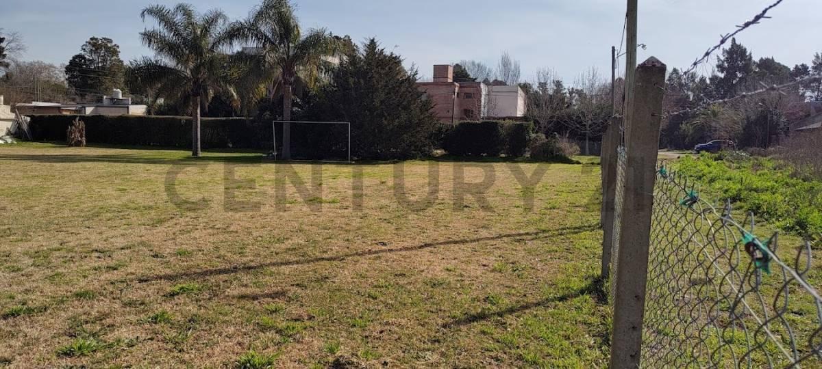 Foto de VENTA LOTES ENTRE CAMINOS EN VILLA ELISA, imagen 2