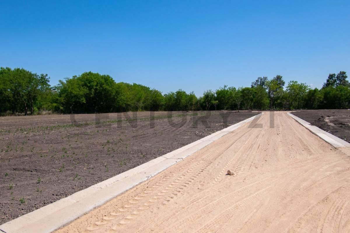Foto de Lote/terrenos en venta. City Bell, imagen 5