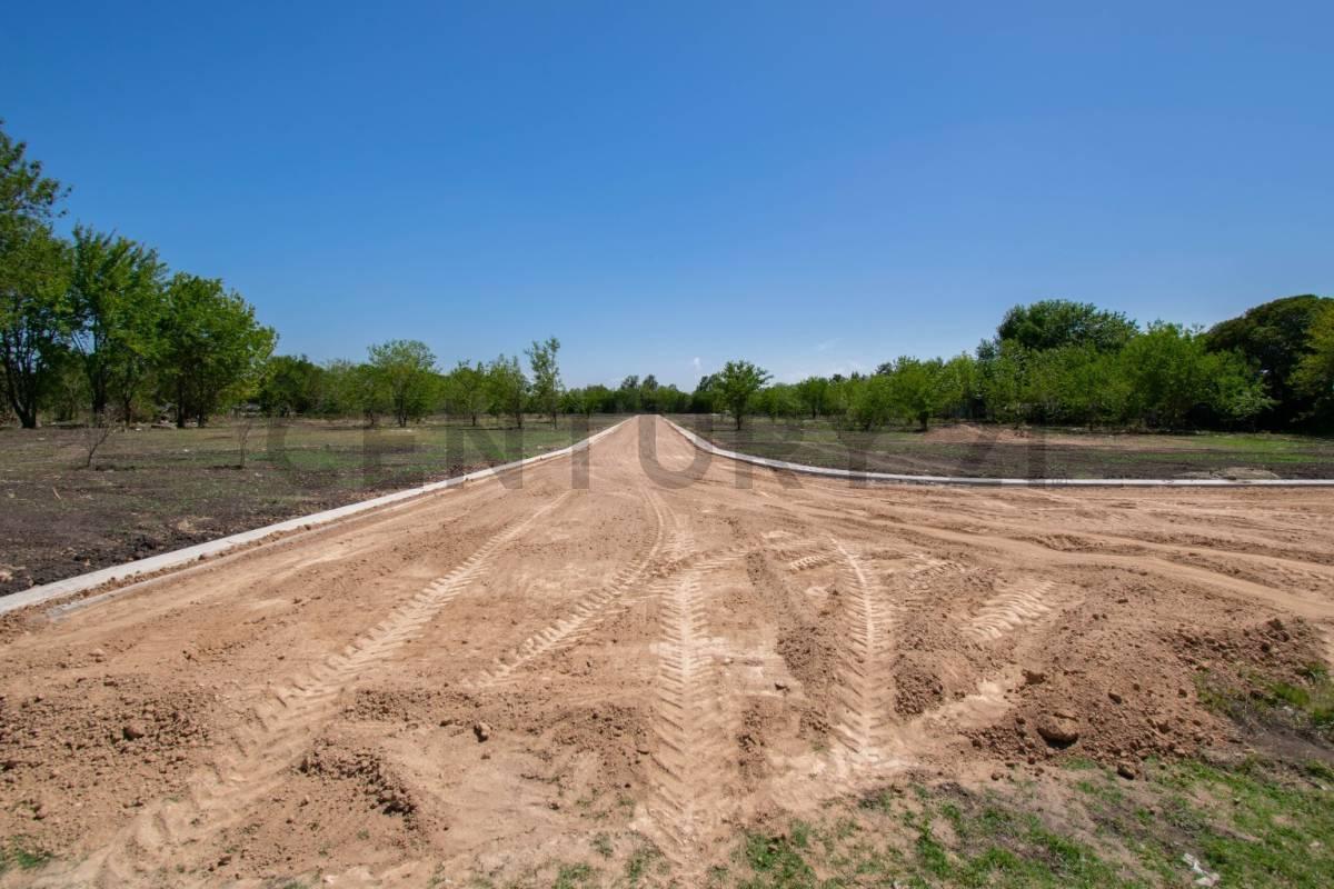 Foto de Lote/terrenos en venta. City Bell, imagen 4