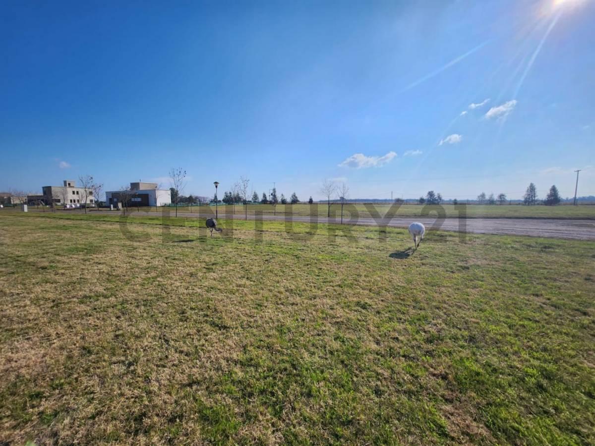 Foto de Lote en venta, Brandsen. El Mirador, club de campo, imagen 3