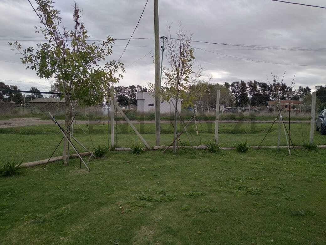 Foto de Lote en venta en Los Talas, imagen 2