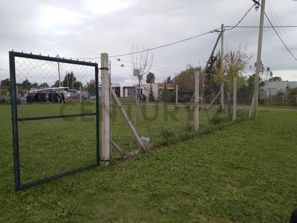 Foto de Lote en venta en Los Talas, imagen 3
