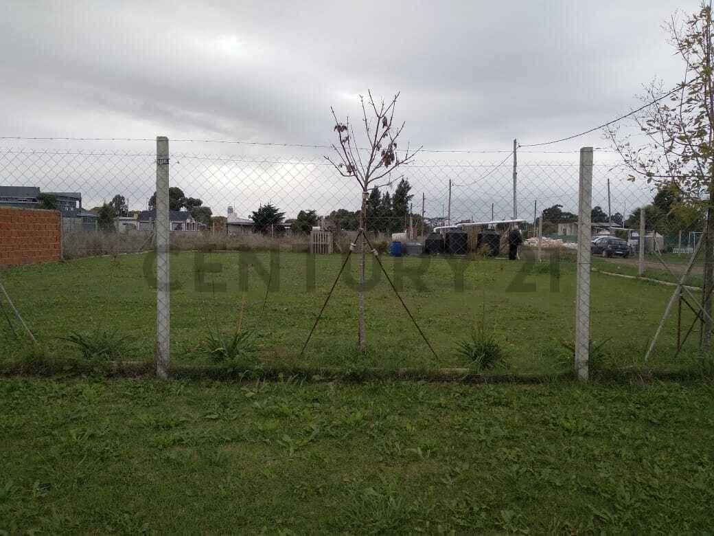 Foto de Lote en venta en Los Talas, imagen 5