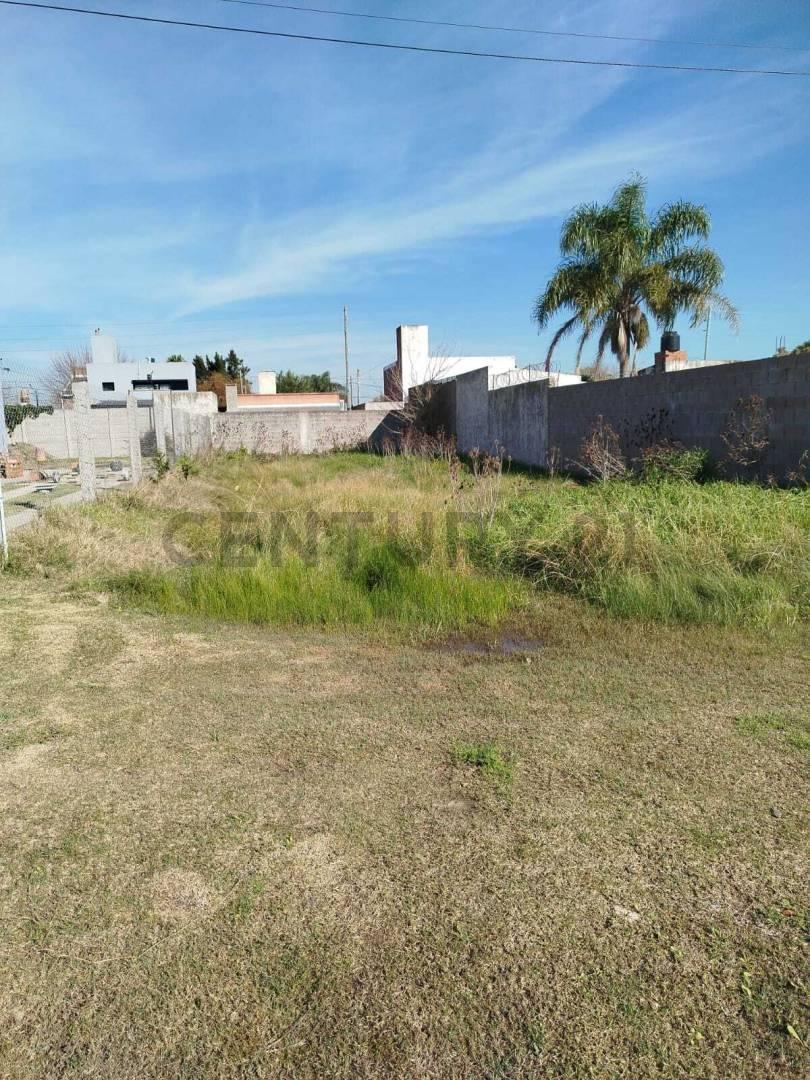 Foto de VENDO TERRENO EN VILLA CASTELLS, imagen 3