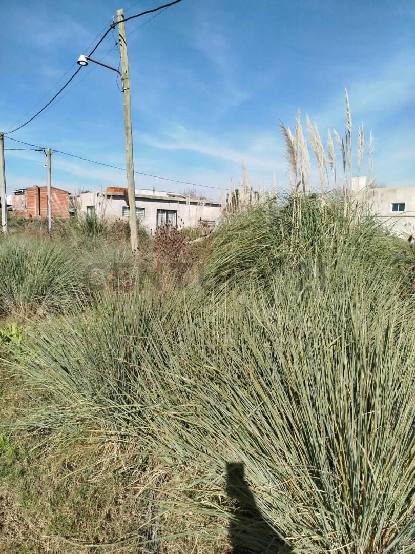 Foto de VENTA DE TERRENO EN MELCHOR ROMERO, LA PLATA. POSIBILIDAD DE, imagen 3