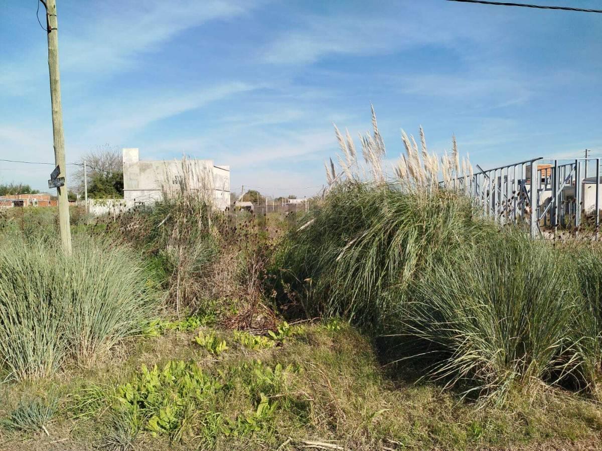 Foto de VENTA DE TERRENO EN MELCHOR ROMERO, LA PLATA. POSIBILIDAD DE, imagen 1