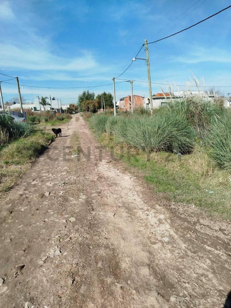 Foto de VENTA DE TERRENO EN MELCHOR ROMERO, LA PLATA. POSIBILIDAD DE, imagen 5