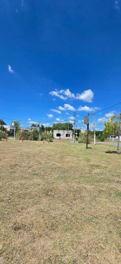 Foto de Lote en venta en Arturo Segui, imagen 4