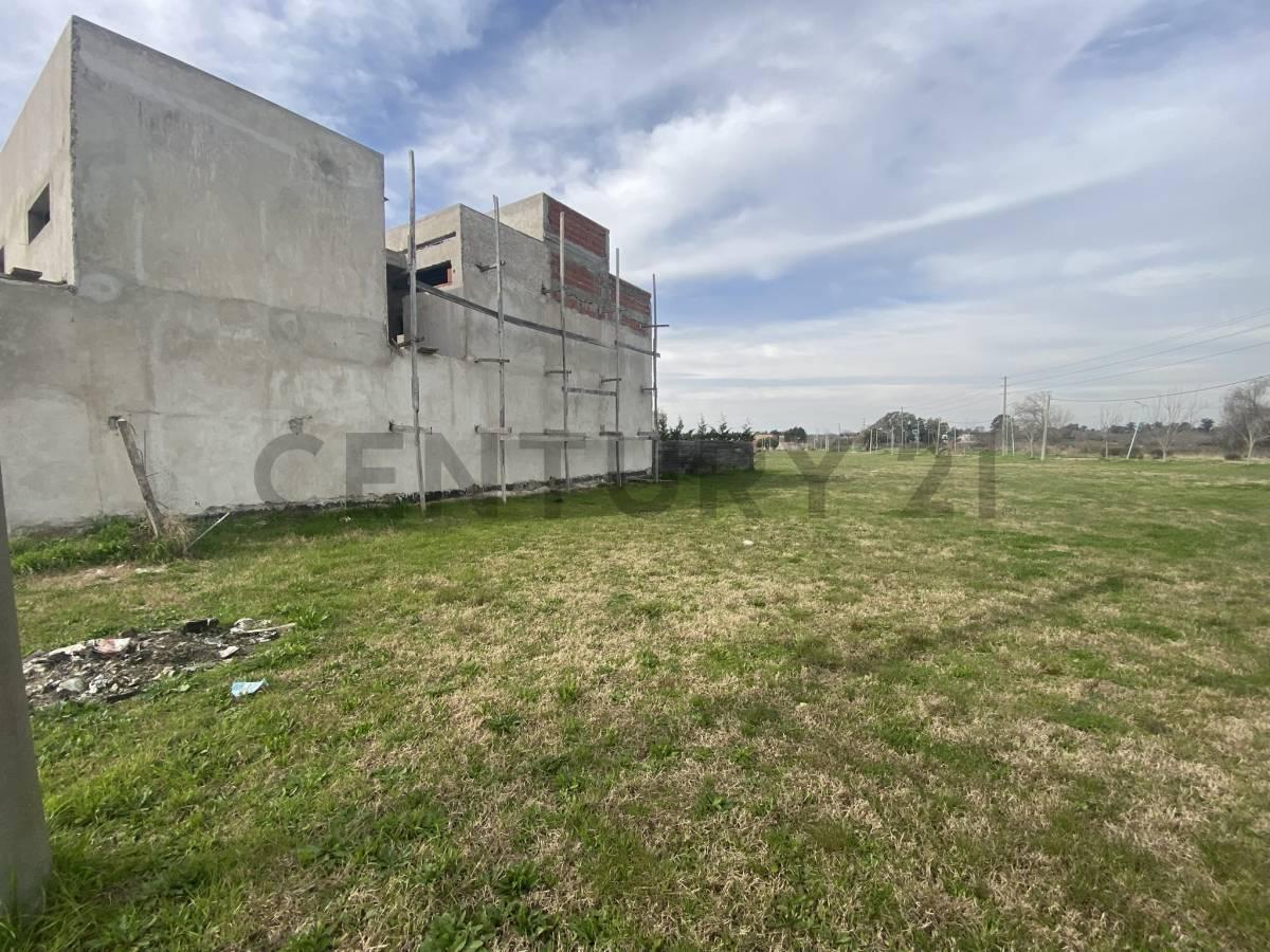 Foto de Terrenos - Lote en Don Carlos II, imagen 3