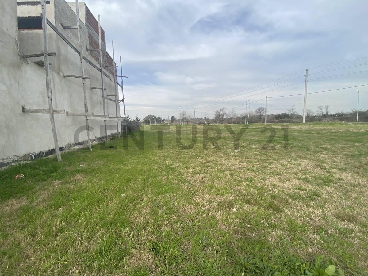 Foto de Terrenos - Lote en Don Carlos II, imagen 1