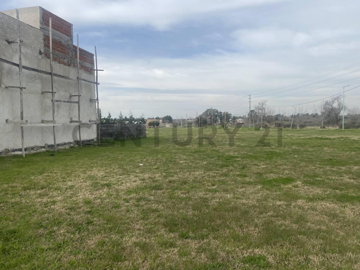 Foto de Terrenos - Lote en Don Carlos II, imagen 5