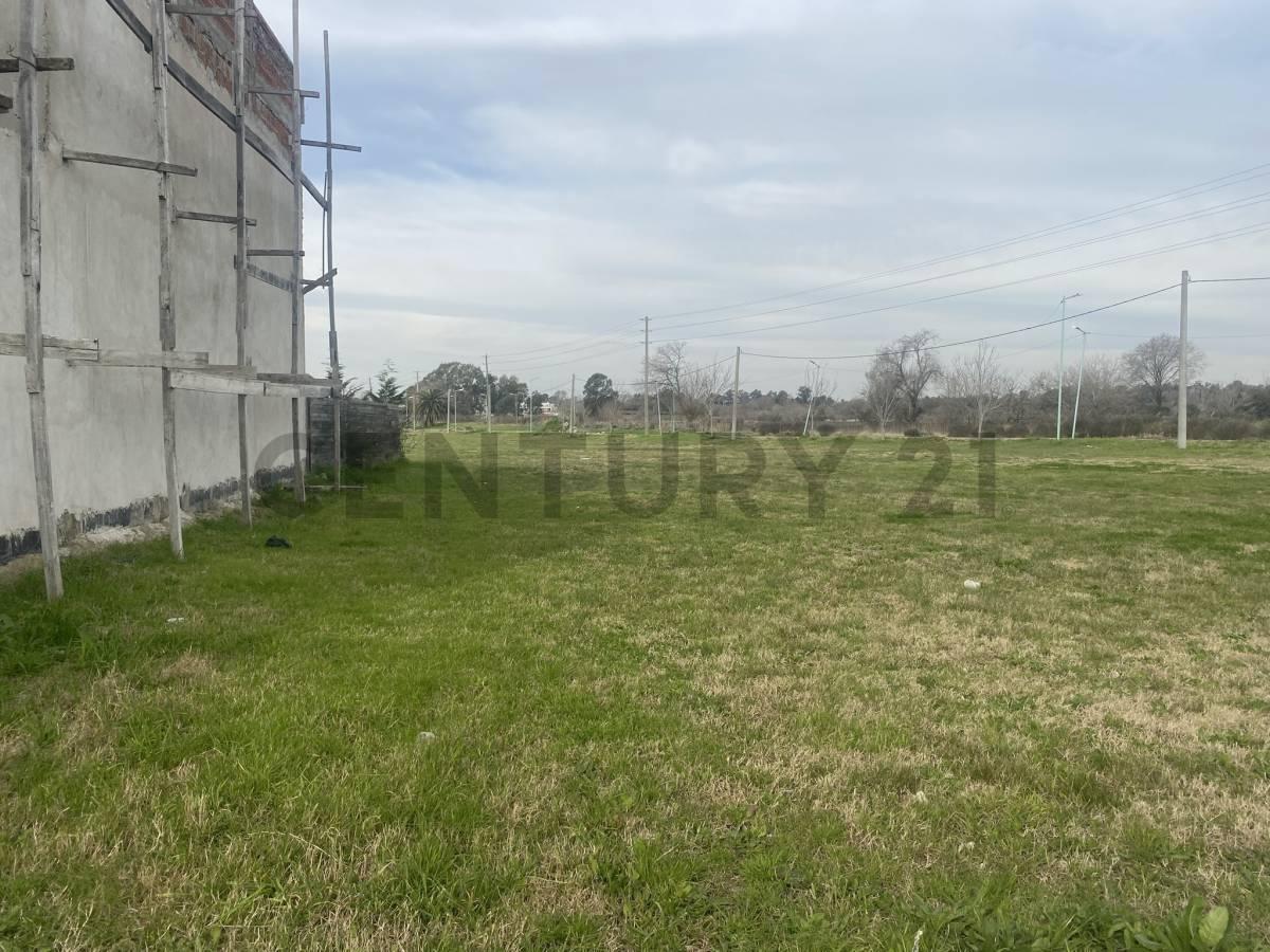Foto de Terrenos - Lote en Don Carlos II, imagen 4