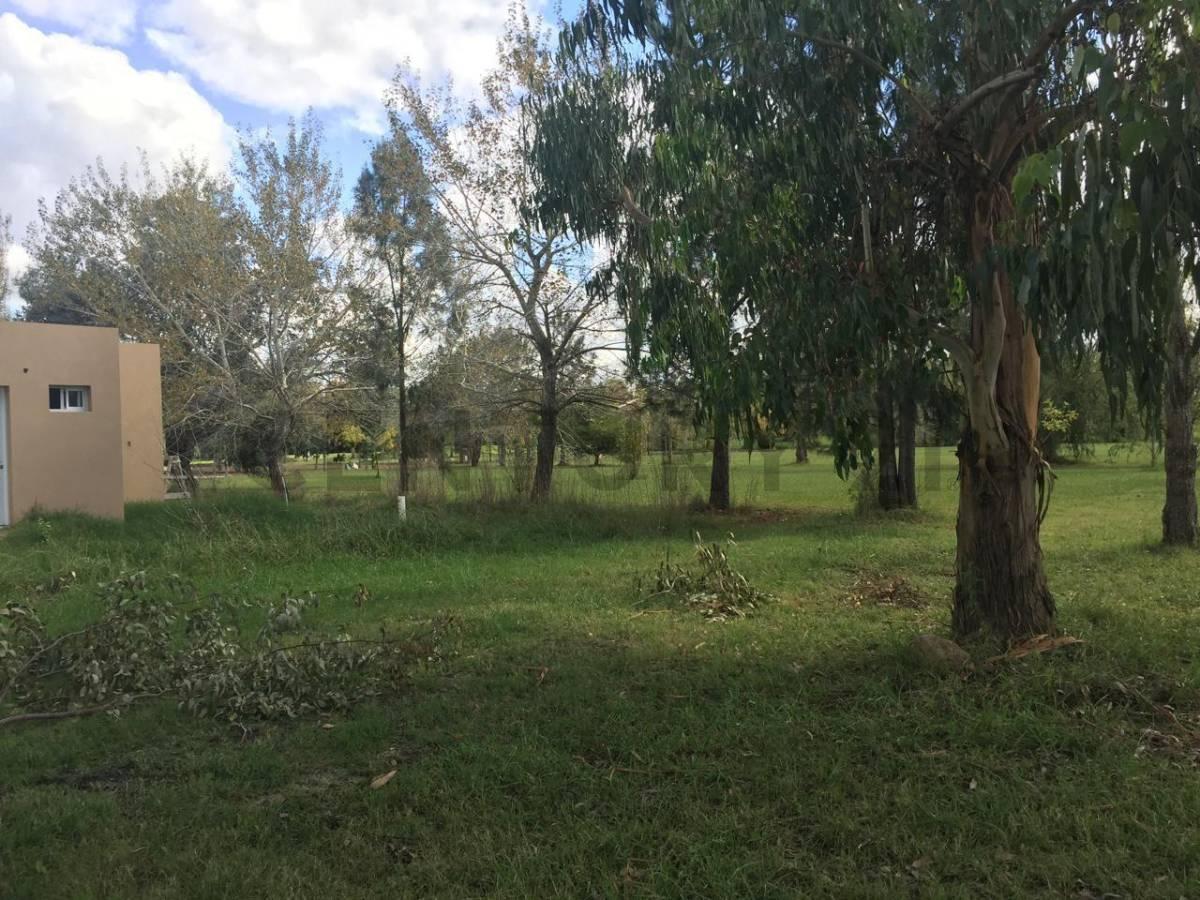 Foto de Lote en venta en Miralagos I – 1143 m² | Ruta 2 Km 65, imagen 3