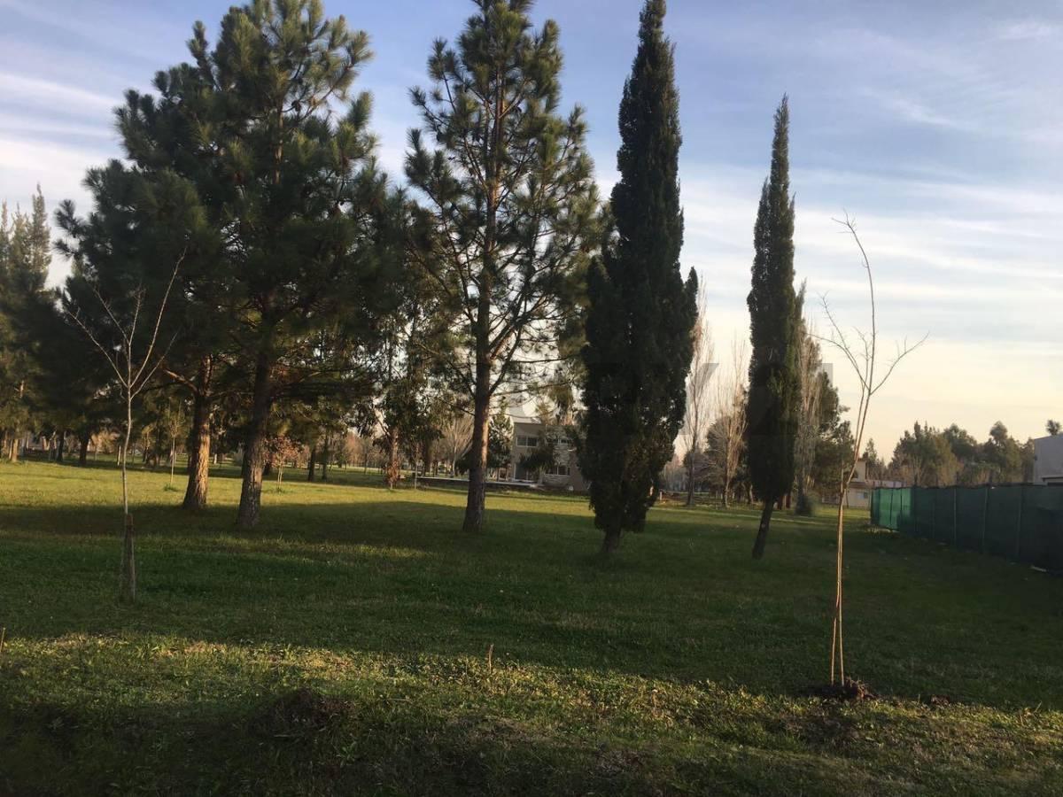 Foto de Lote en venta en Miralagos I – 1143 m² | Ruta 2 Km 65, imagen 5