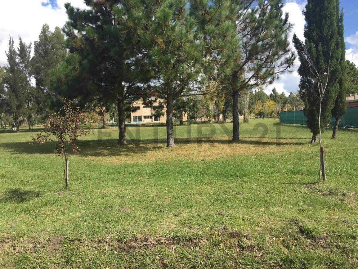Foto de Lote en venta en Miralagos I – 1143 m² | Ruta 2 Km 65, imagen 2