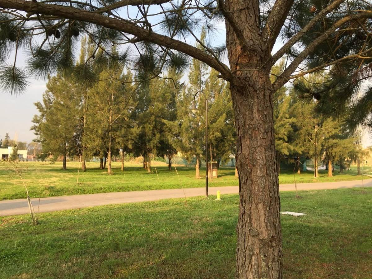 Foto de Lote en venta en Miralagos I – 1143 m² | Ruta 2 Km 65, imagen 4