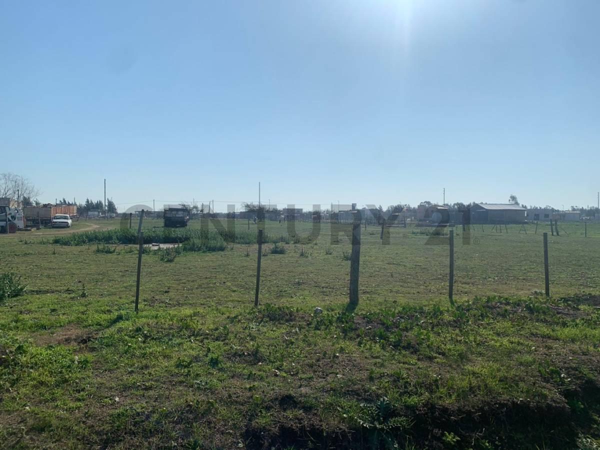 Foto de Terreno en venta en Los Talas, imagen 3