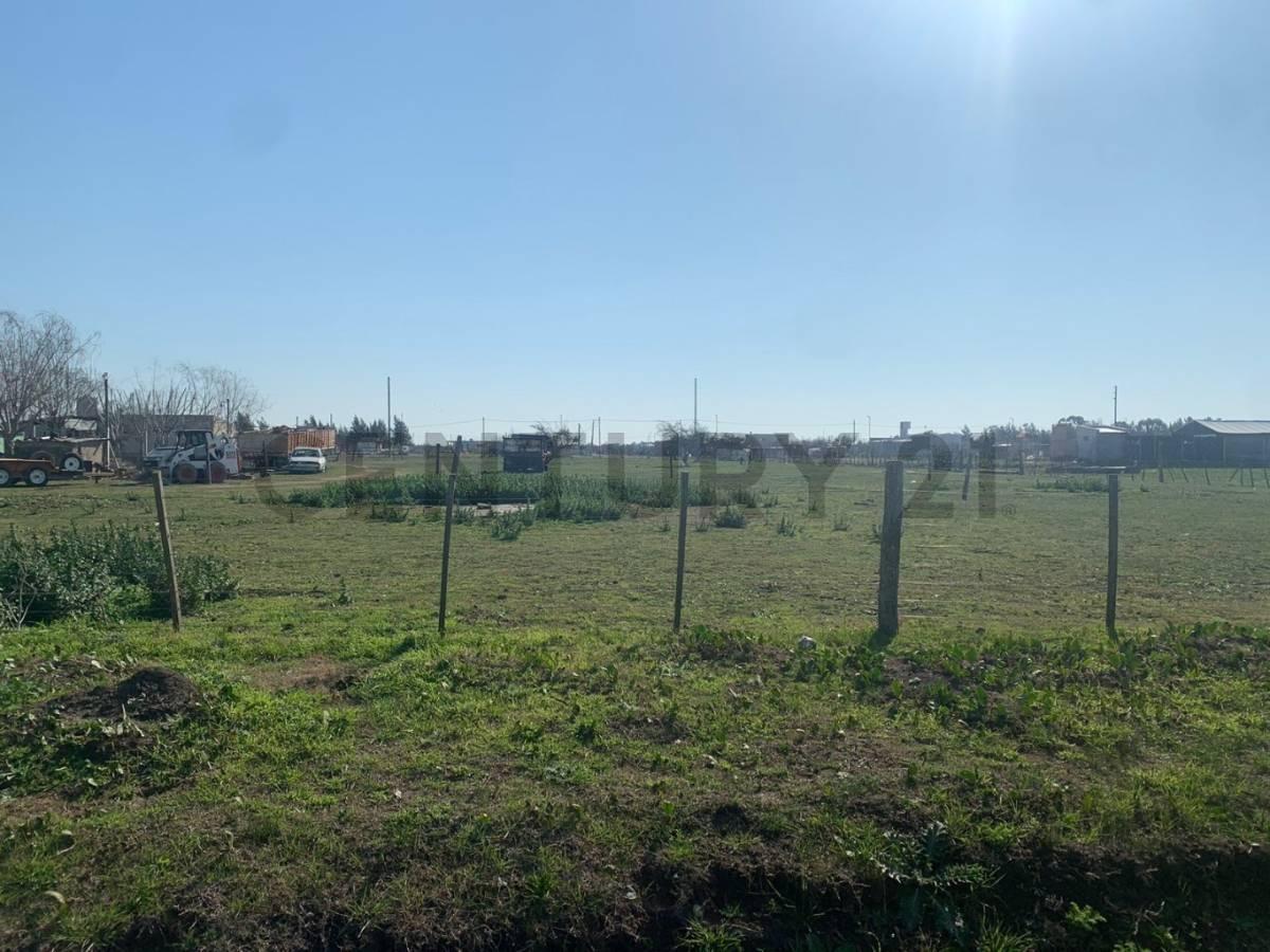 Foto de Terreno en venta en Los Talas, imagen 2