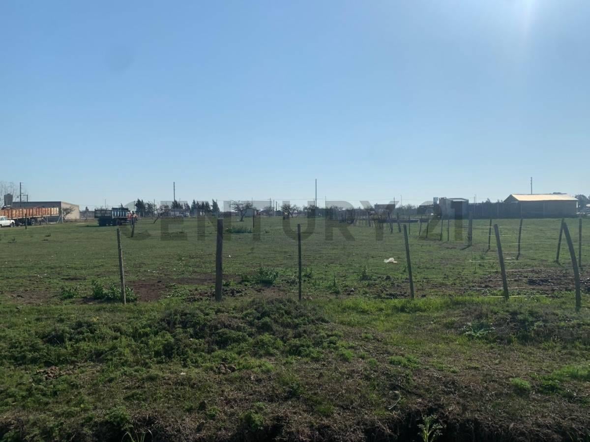 Foto de Terreno en venta en Los Talas, imagen 5