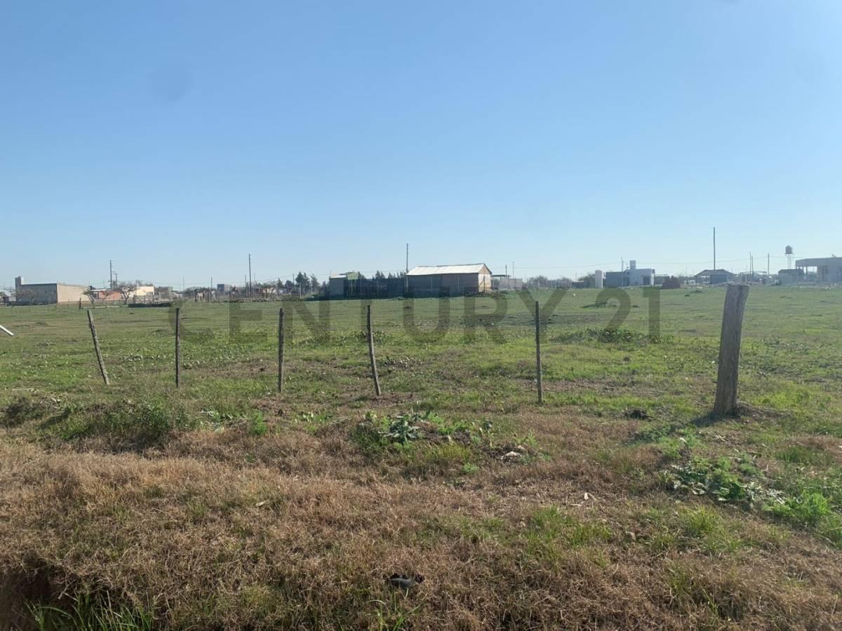 Foto de Terreno en Venta en Los Talas, imagen 3