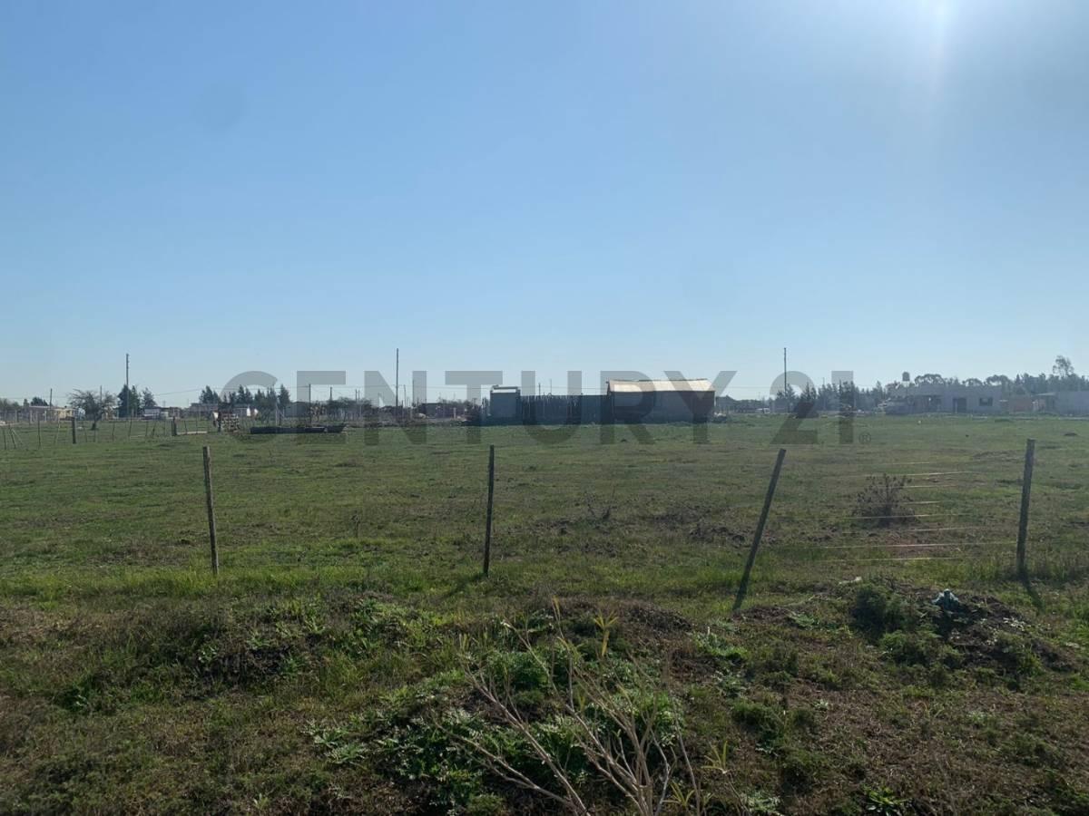 Foto de Terreno en Venta en Los Talas, imagen 1