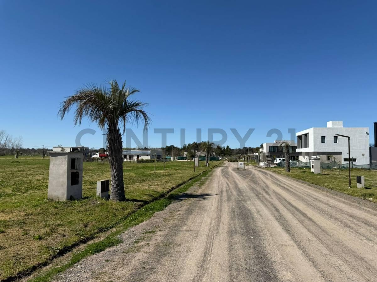 Foto de Lote en Barrio Ribera, City Bell-685 m2, imagen 1