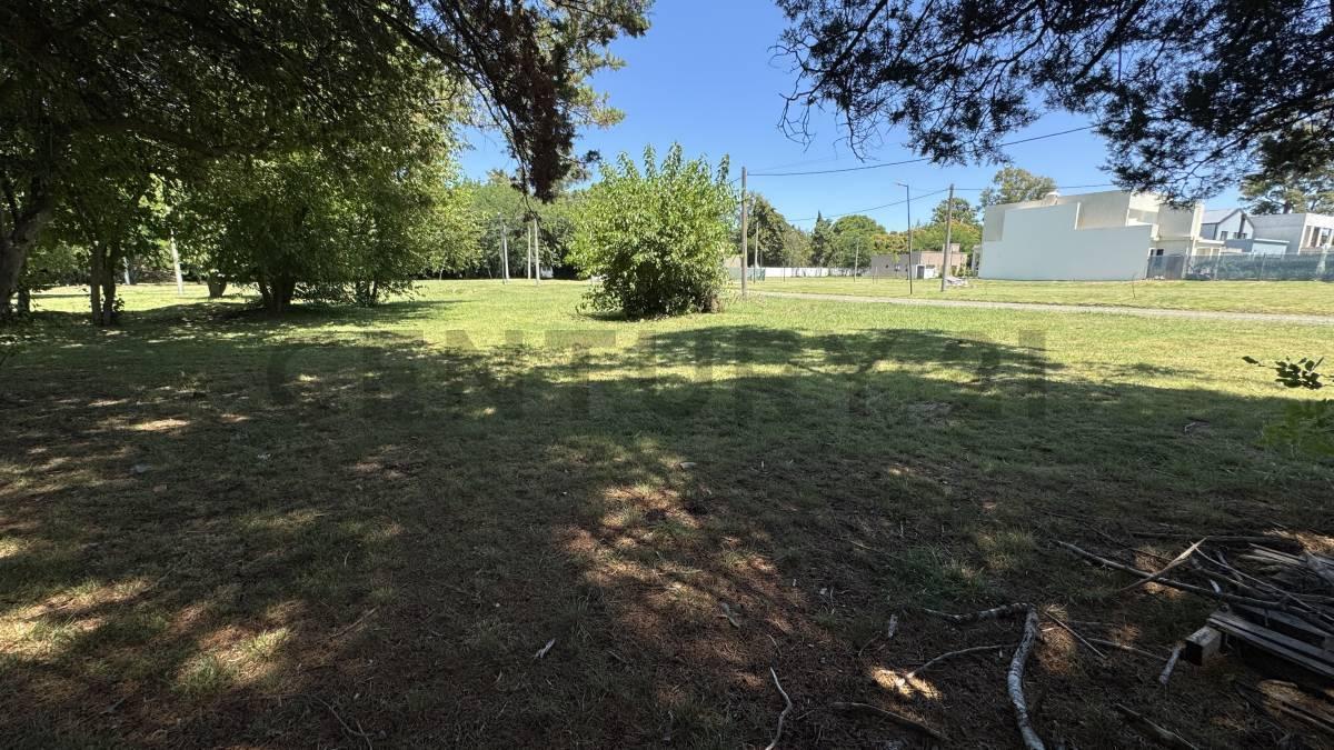 Foto de Terrenos en venta barrio cerrado Las Alondras,Villa Elisa, imagen 5
