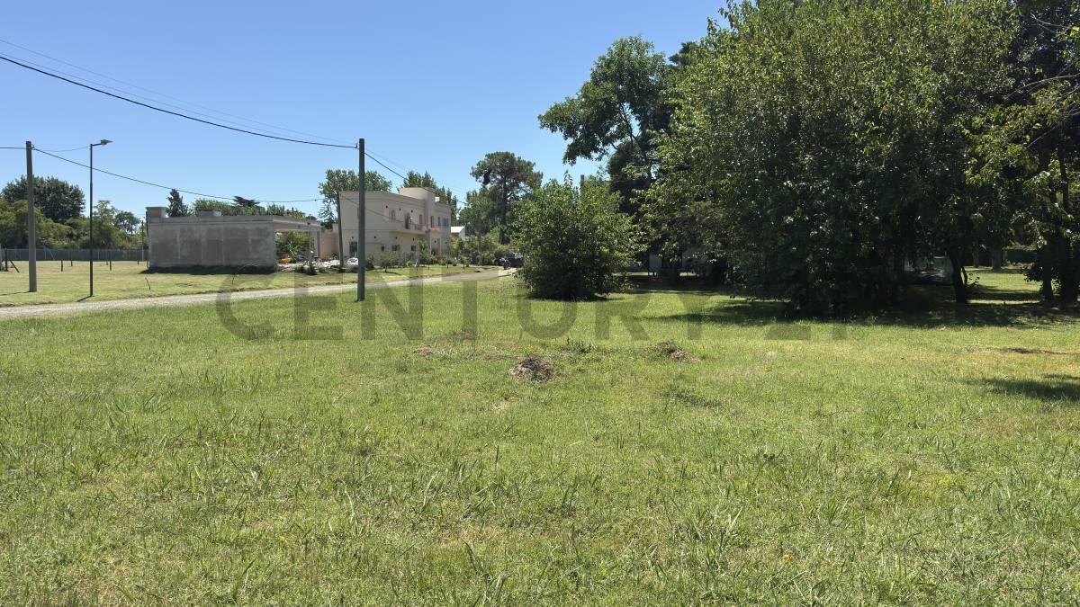 Foto de Terrenos en venta barrio cerrado Las Alondras,Villa Elisa, imagen 4