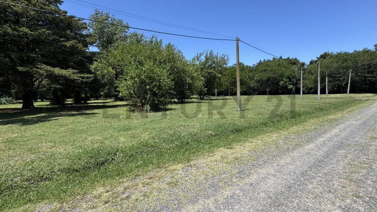 Foto de Terrenos en venta barrio cerrado Las Alondras,Villa Elisa, imagen 2